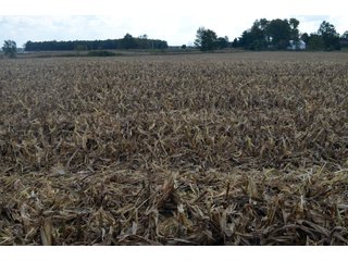 Property photo 68 - EHLE FARMS AUCTION - 118+/- ACRES IN 9 TRACTS IN ALLEN COUNTY, INDIANA